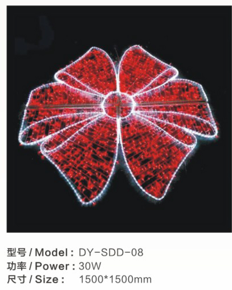 DY-SDD-08 (2).jpg
